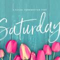 saturday-.jpg