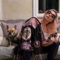 skynews-lady-gaga-dogs_5284941.jpg