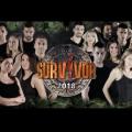 survivor2-1-682x384.jpg