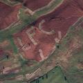 swns_lfc_field_02.jpg