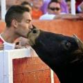 Η τραγική ιστορία του ταύρου που βγαίνει στην αρένα