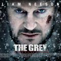the_grey_liam_nelson_programma_tileorasis_star.jpg