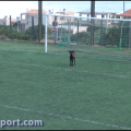 Ένας τράγος παίζει ... μπάλα στην Ελούντα (βίντεο)