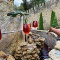 wine_italy_33.jpg