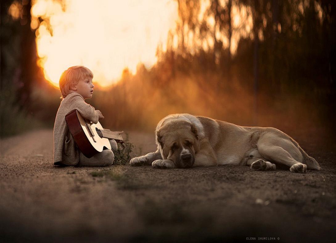 σκύλος-παιδί με κιθάρα-ζώδια