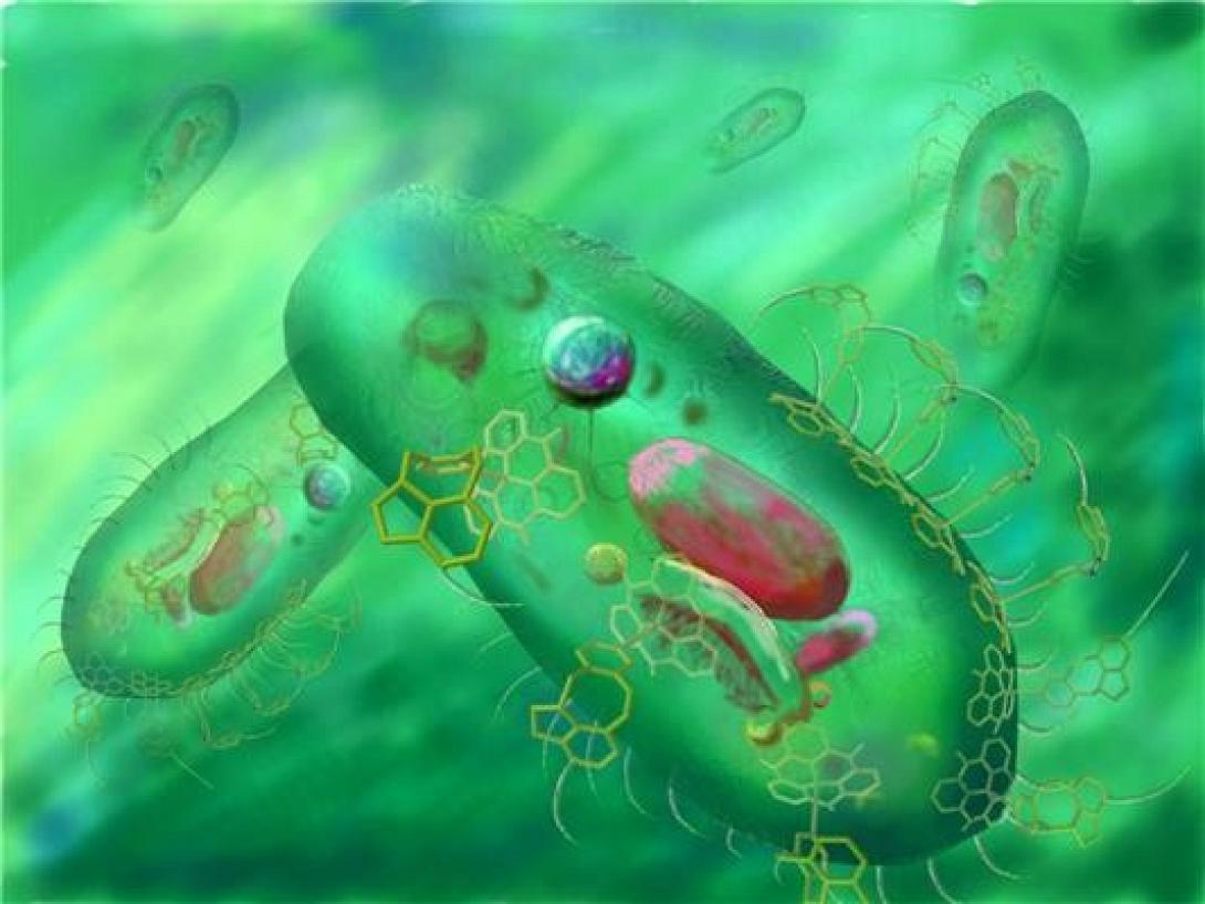 Εφαρμογή στις νόσους του εντέρου μέσω νανασωματίδιων φορέων