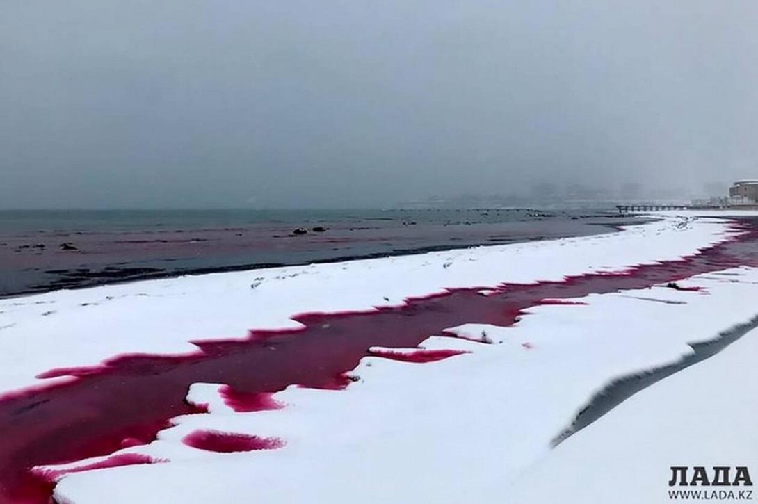 Κασπία θάλασσα