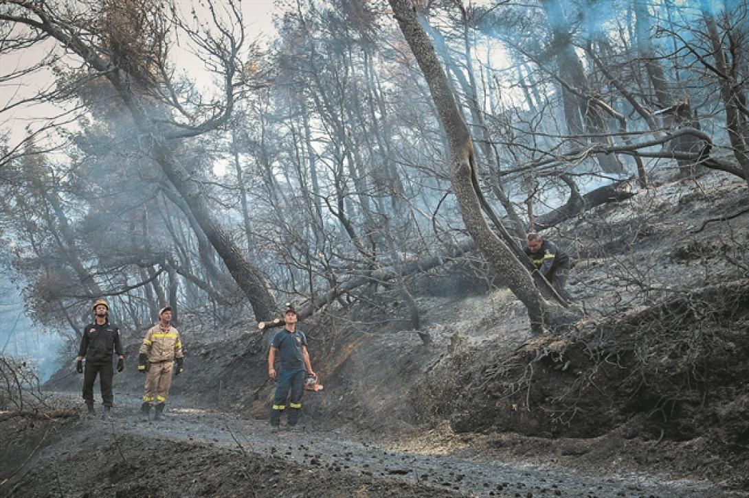 πυρκαγια Εύβοια