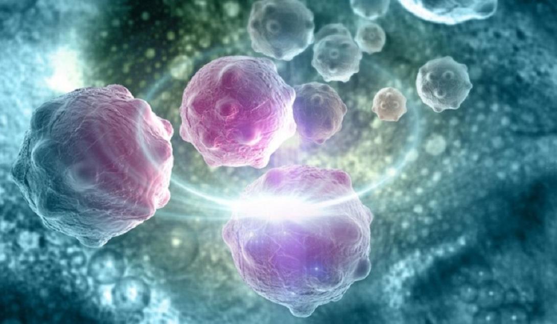  Ανοσο-ογκολογία