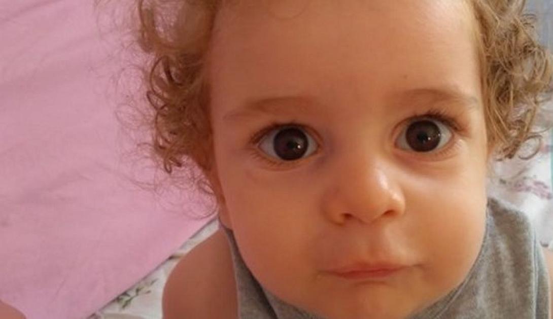 Παναγιώτης Ραφαήλ