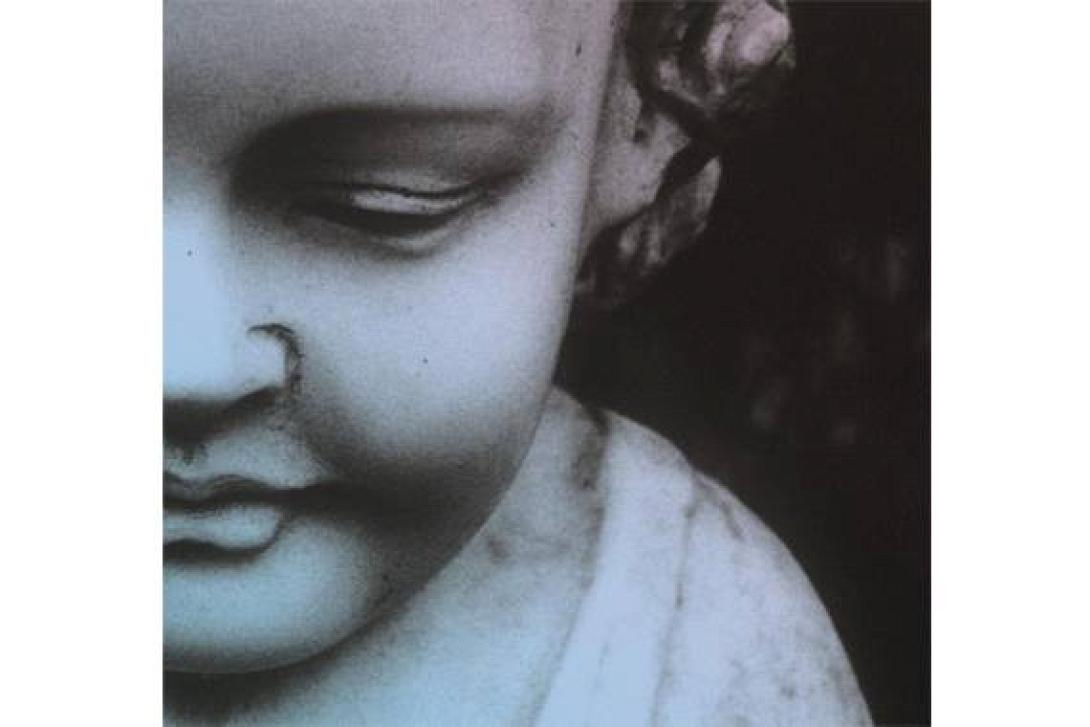 The Take Off and Landing of Elbow!