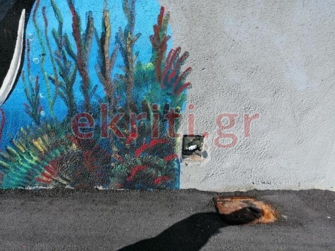 Κίνδυνος από τα γυμνά καλώδια