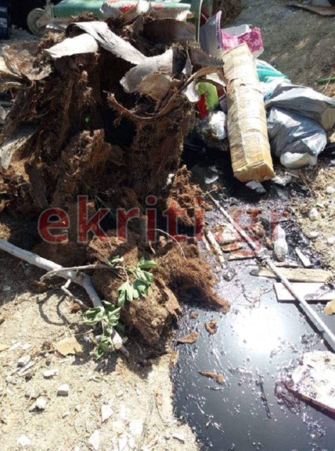 Τα λάδια κατέληξαν στην χωματερή