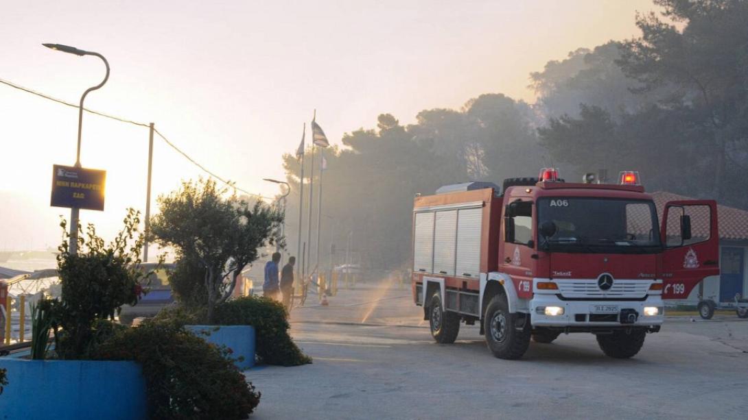 σχινο φωτια