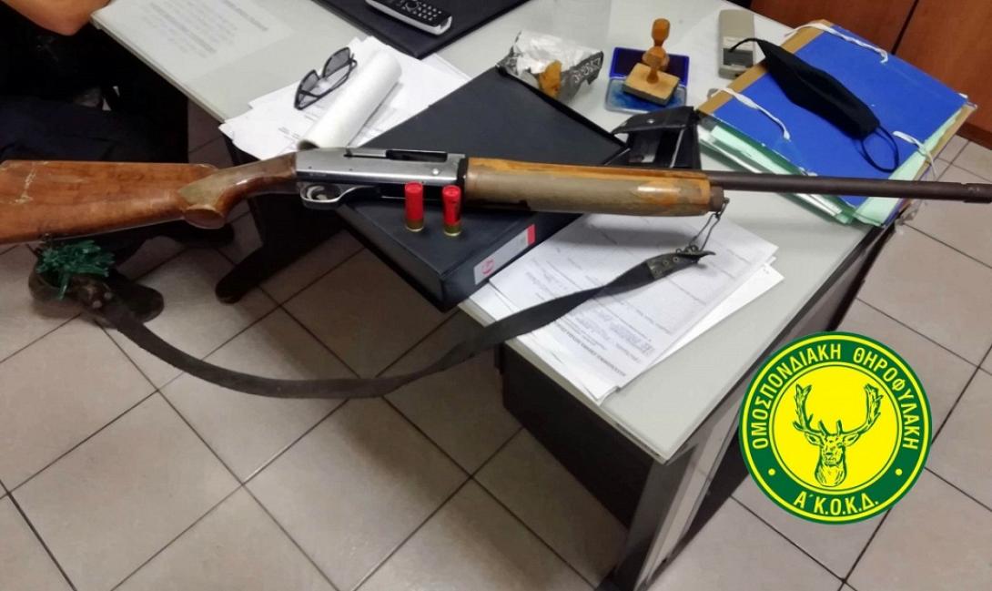 λαθροθηρία