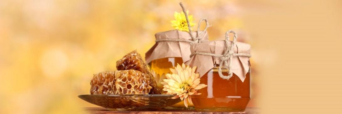 Απίστευτη επιτυχία σημείωσε η 1η FOOD EXPO!