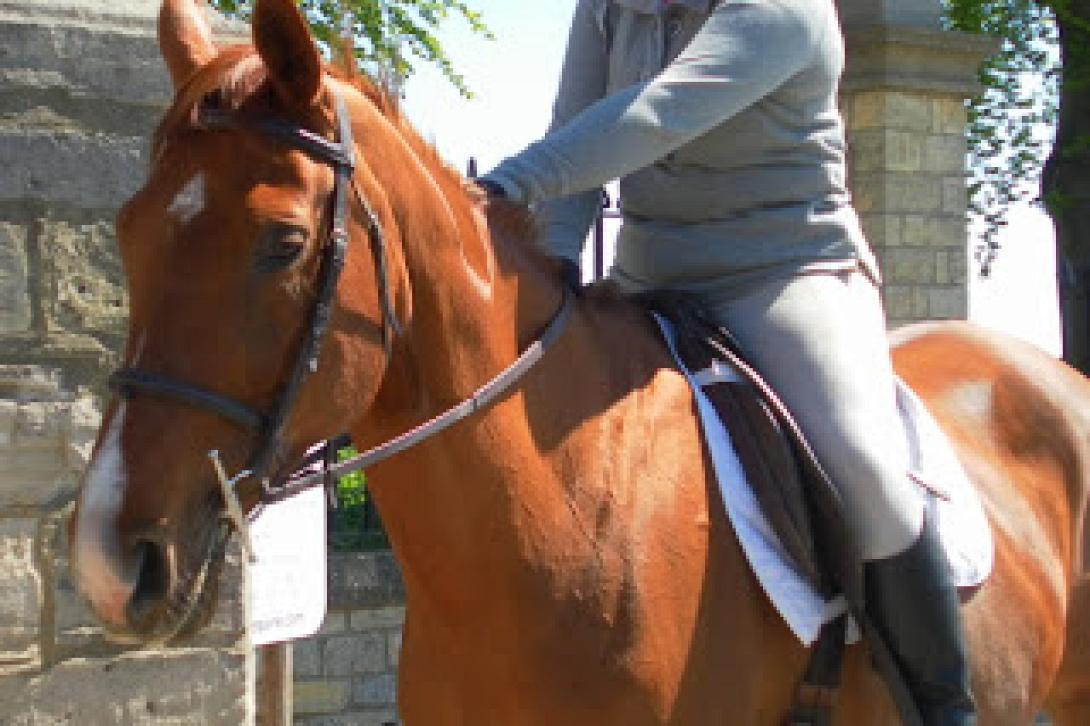 Πανικός στο Twitter: Εκτοξεύτηκαν οι αναρτήσεις για «Τρίτο Παγκόσμιο Πόλεμο».jpg