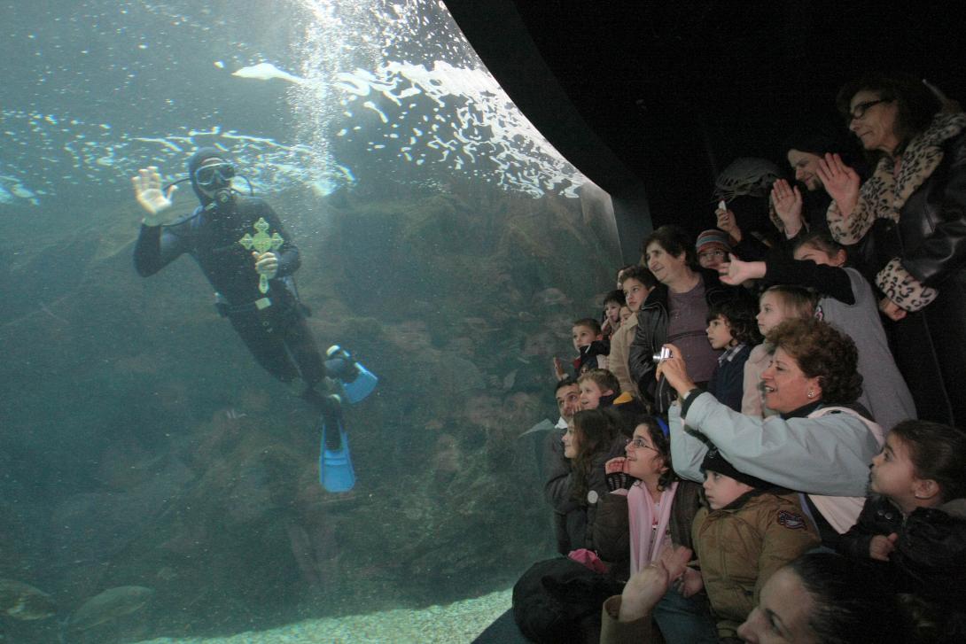 θεοφανεια ενυδρειο