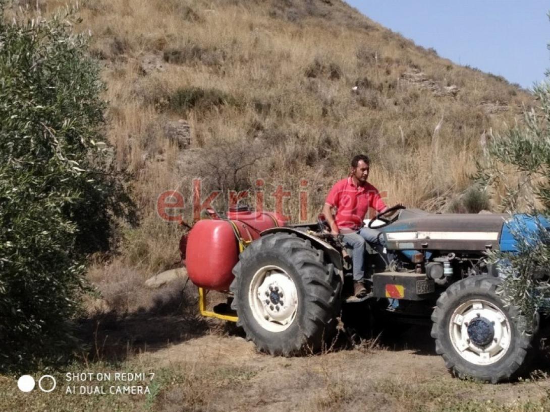 Οι εργασίες ψεκασμού δακοκτονίας