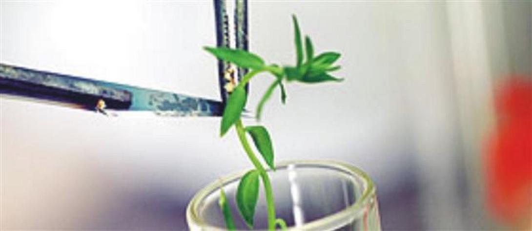 Χανιά: Φόρουμ για το επιχειρηματικό οικοσύστημα