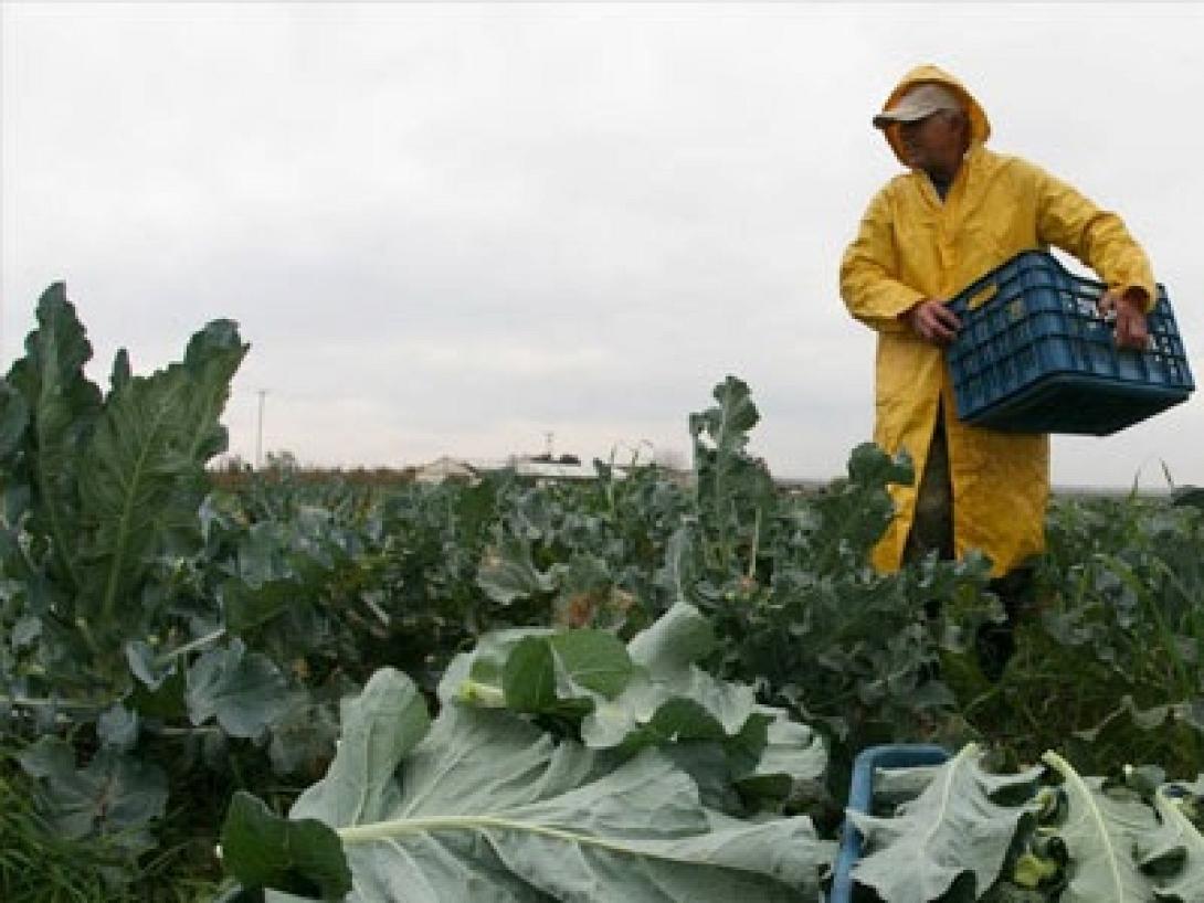 Παρατείνεται έως τέλος Απριλίου η ασφαλιστική κάλυψη από τον ΟΓΑ