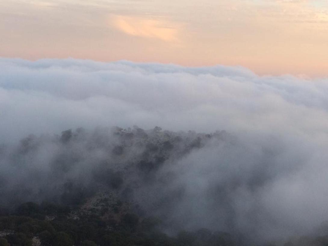 καθαρο κριτσας