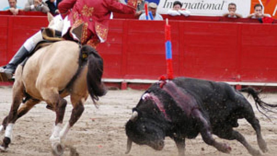 ταυρομαχία