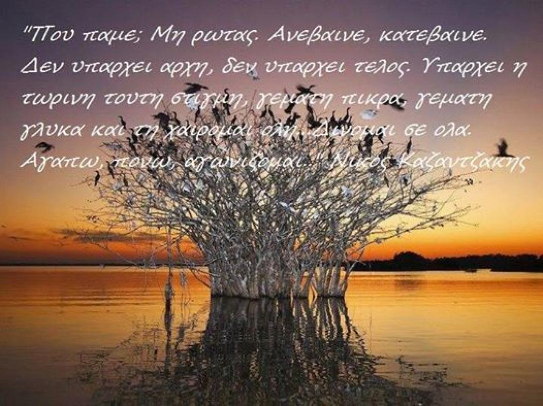 Είναι κάτι στιγμές…