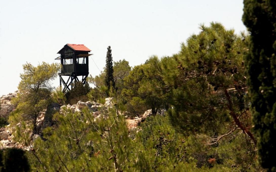 Αλλαγές από την κυβέρνηση στο άρθρο που προωθεί μεταβολές στη δασική νομοθεσία