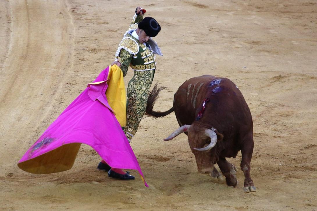 ταυρομαχίες