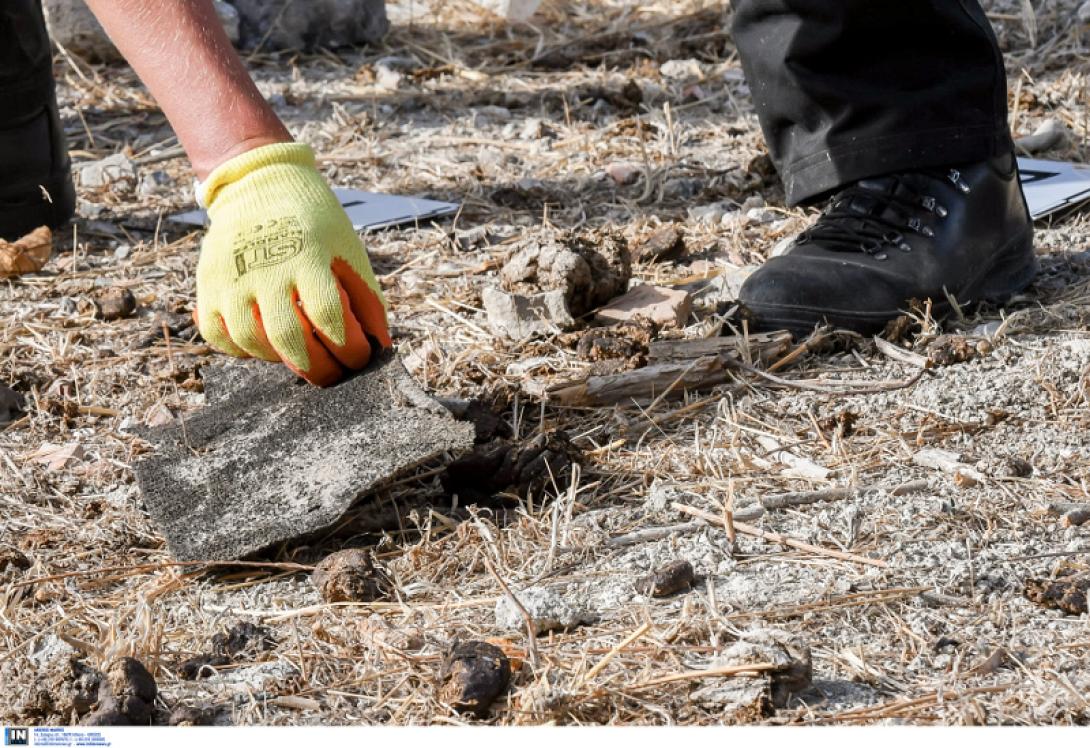 Daily Mirror, μικρος Μπεν