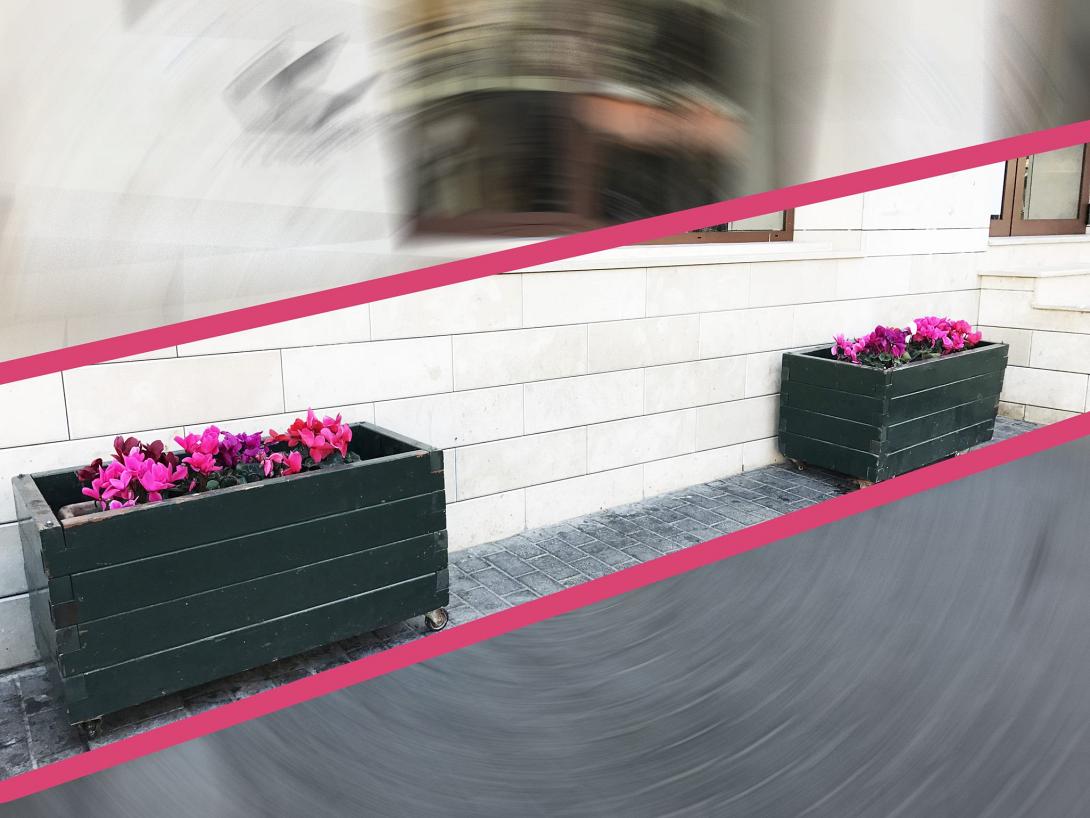 Λουλουδια Βικελαια