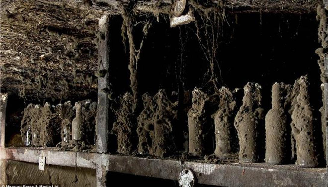 95.000 ευρώ για 12 μπουκάλια ρούμι 235 ετών