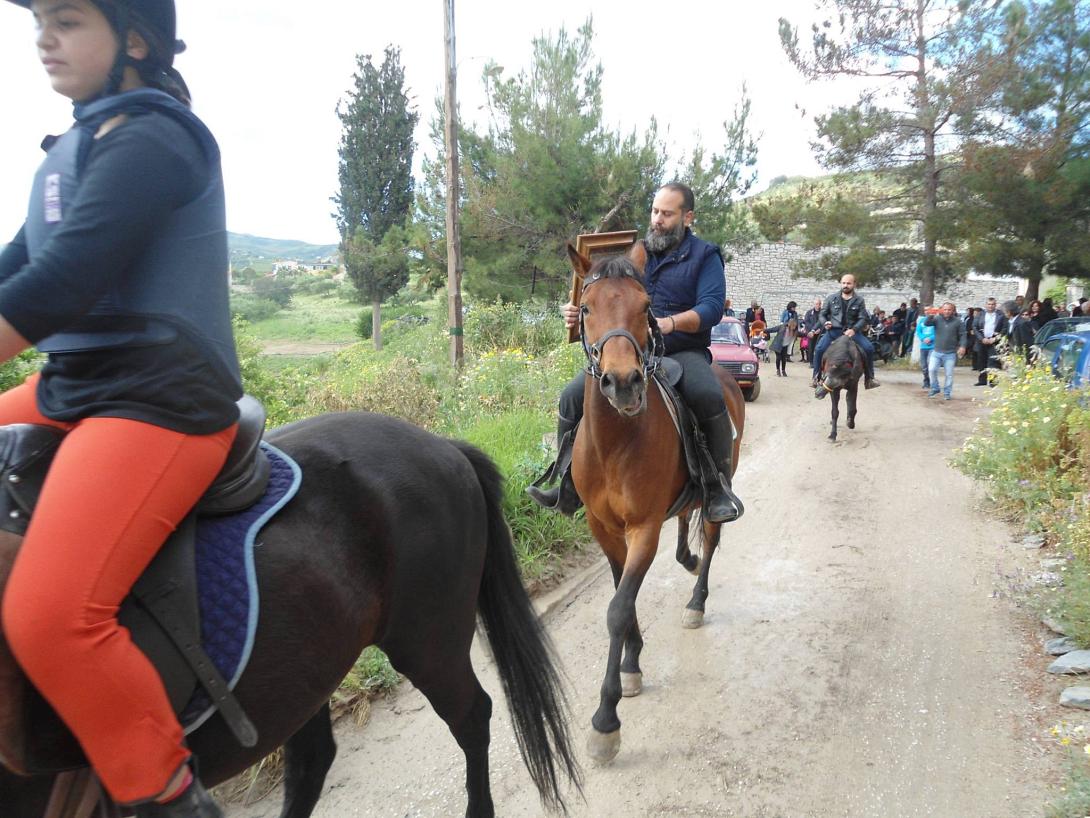 άλογα δρακουλιάρης 12