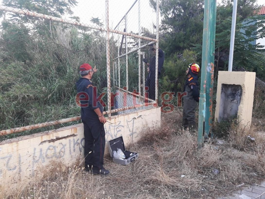 πτωμα εμακ.jpg