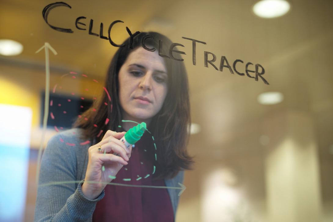 μαριαννα ραψομανικη.jpg