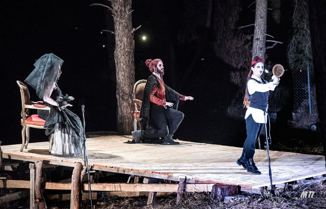 μυρτιά αγγλία 11