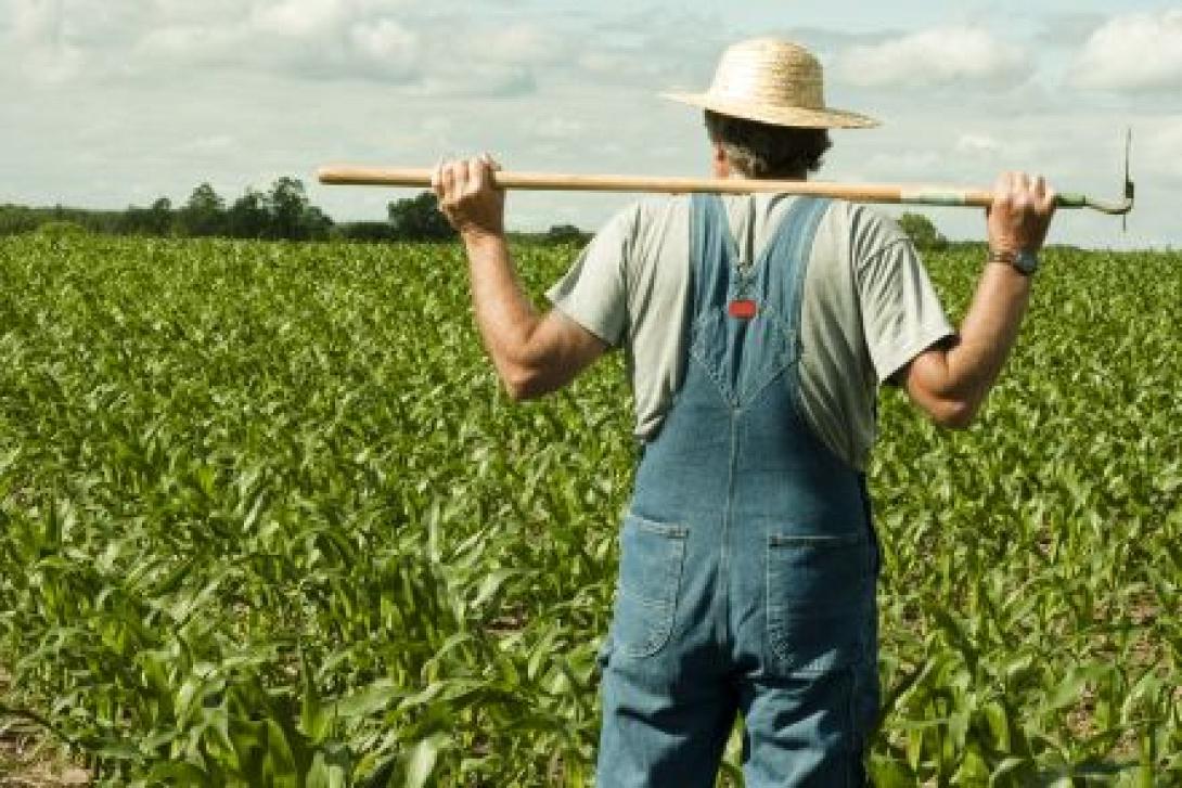 Πρωτογενής Τομέας