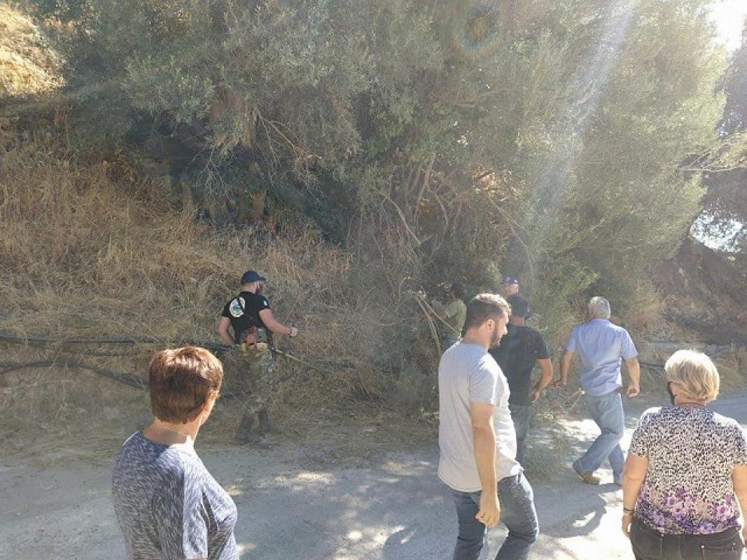 Κρήτη: Καθαρισμοί από την Πολιτική Προστασία στο Σέλινο