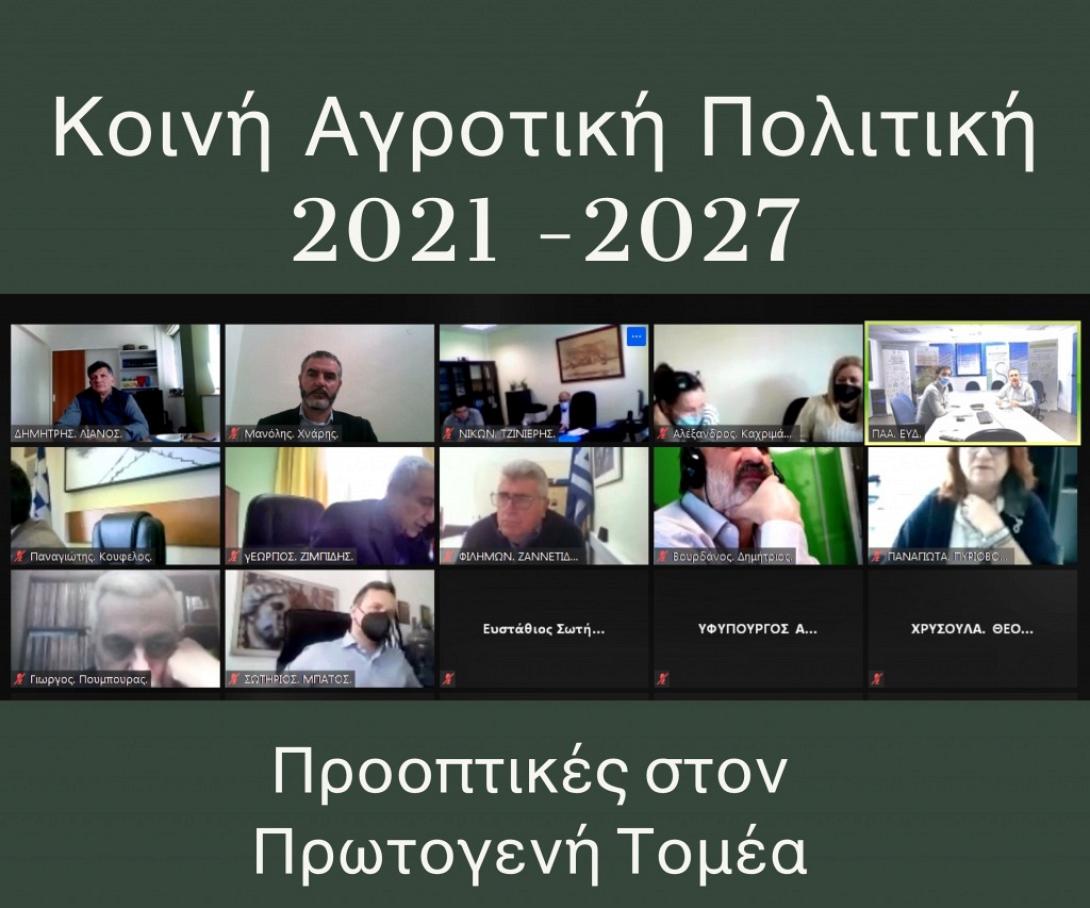 τηλεδιάσκεψη 