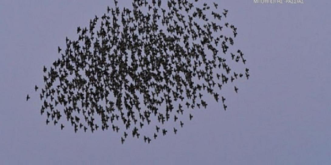 Μαύρισε ο ουρανός στην εθνική οδό Αθηνών – Λαμίας.jpg