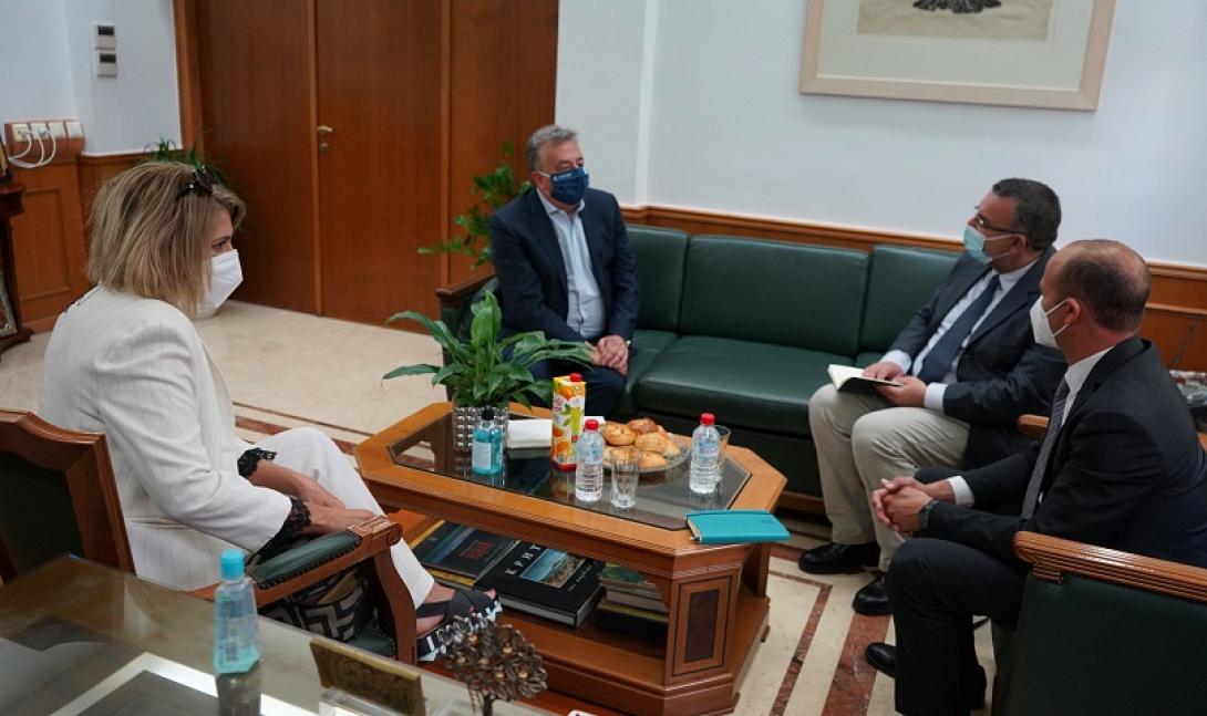 Αναπληρωτής αντιπρόσωπος της ύπατης αρμοστείας του ΟΗΕ