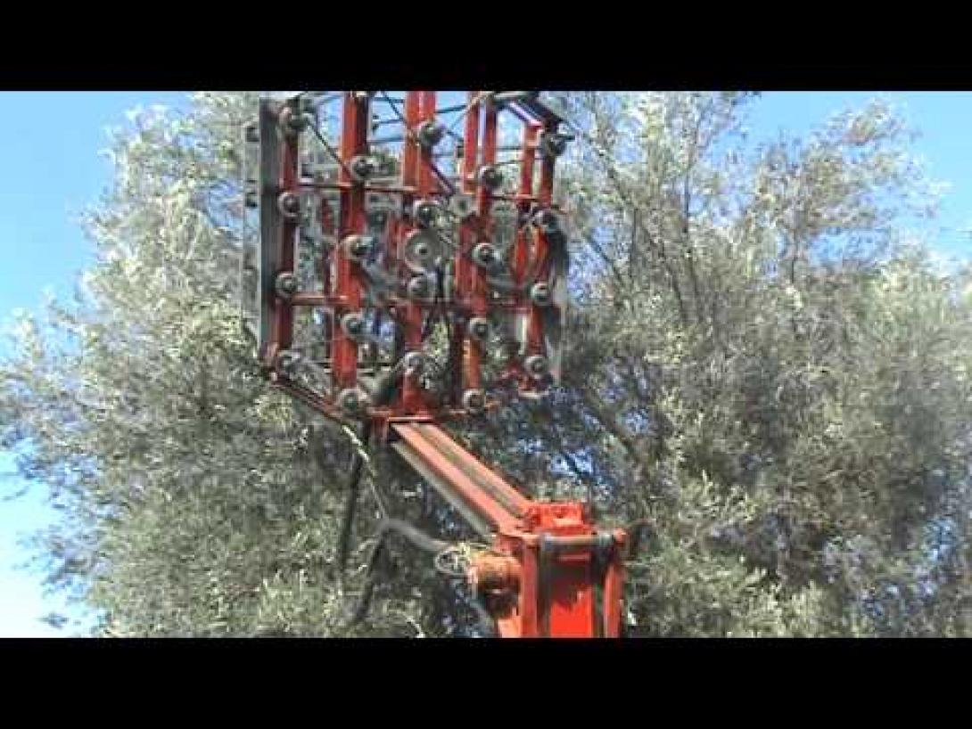 Καταπληκτικές πατέντες για το μάζεμα των ελιών - video