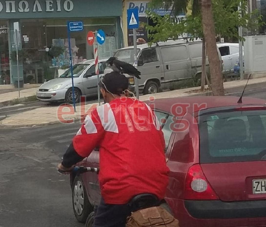 παπαναστασιου - κορακι