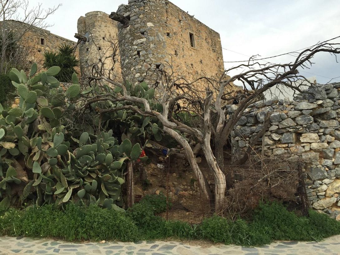 Οι παραδοσιακοί μύλοι