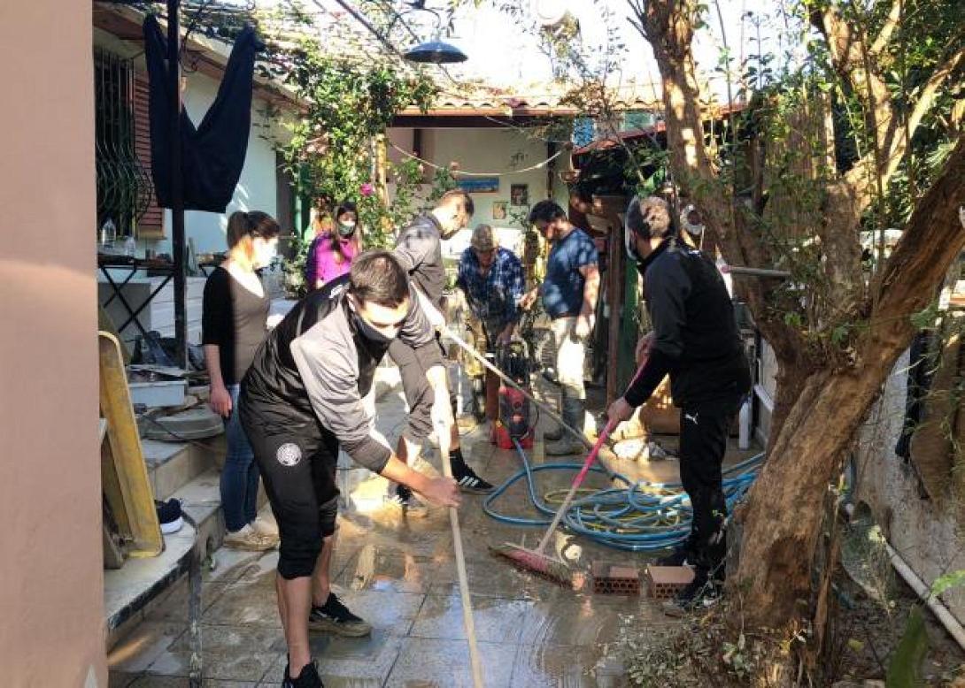 οφη πλημυρομοπαθείς