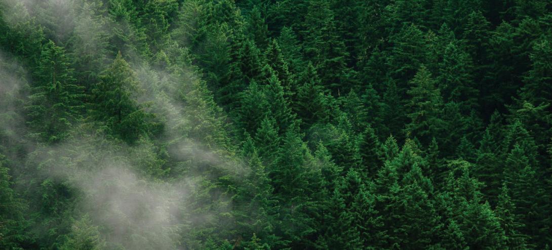 Το Πολυτεχνείο Κρήτης συμμετέχει στο έργο με την ερευνητική ομάδα indigo.