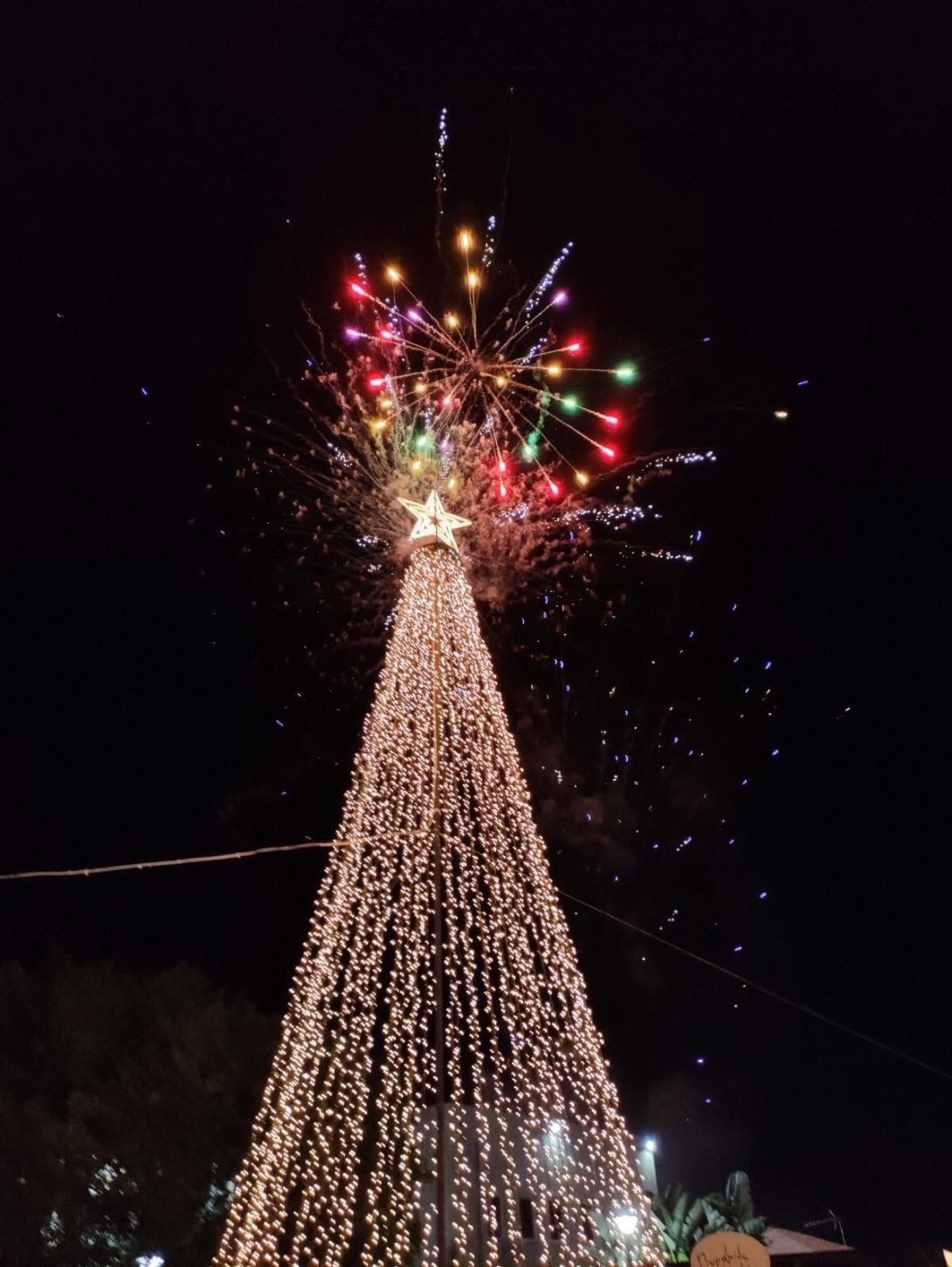 Δέντρο στο Γάζι