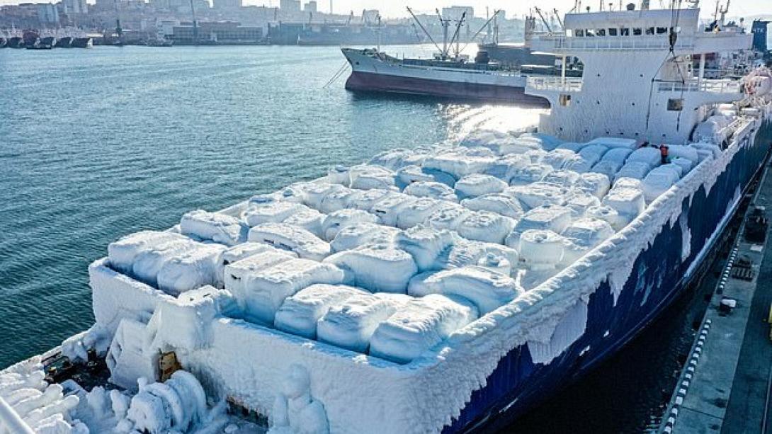 παγωμενα αυτοκινητα