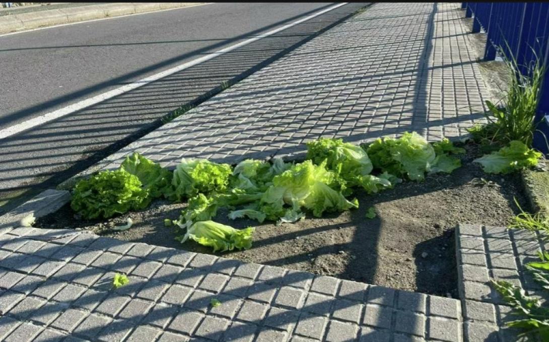 μαρουλια πεζοδρομιο